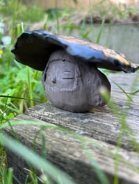 Image 1 of Mushaboo - Whispip