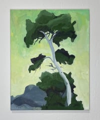 Image 1 of Neighbor Tree