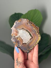 Image 1 of DOUBLE SIDED LAGUNA AGATE SLICE WITH QUARTZY CENTER J