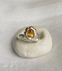 Image 2 of Narcisse - Collection Passions