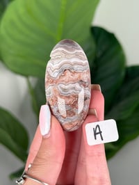 Image 1 of SMALL SANGRIA LACE AGATE SHIVAS
