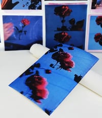 Image 3 of PICK ROSES AT NIGHT II