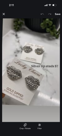 Image 5 of Silver studs PICK INSIDE2