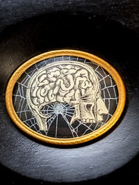 Image 3 of ANTIQUE ANATOMICAL COLLECTION - Preserved web-HEAD