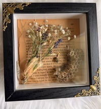 Image 3 of Honey & Decay