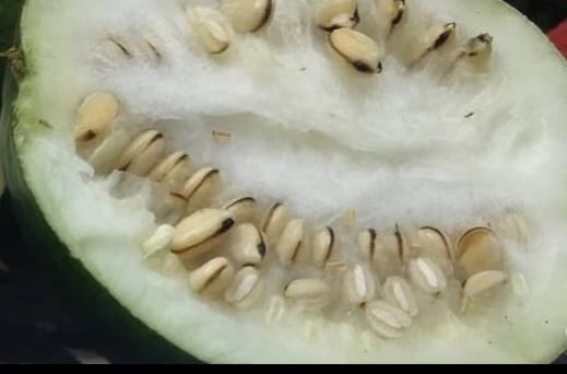 MELON SEED POWDERS. Hormones-Erectile Dysfunction-Arthritis-Bones-Prostate-Diabetes-Cholesterol