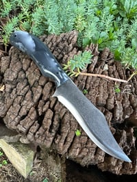 Image 1 of DAWNMIST BOWIE