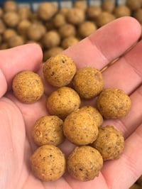 Image 4 of NAT trilogy boilies