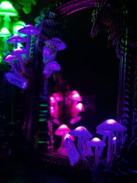 Image 5 of Pink mushroom mirror led