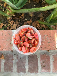 Watermelon Sunday