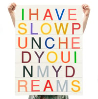 Image 1 of I Have Slow Punched You In My Dreams - Rachael McCully