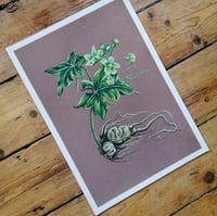 Image 1 of Bryony Fine Art Print, A3