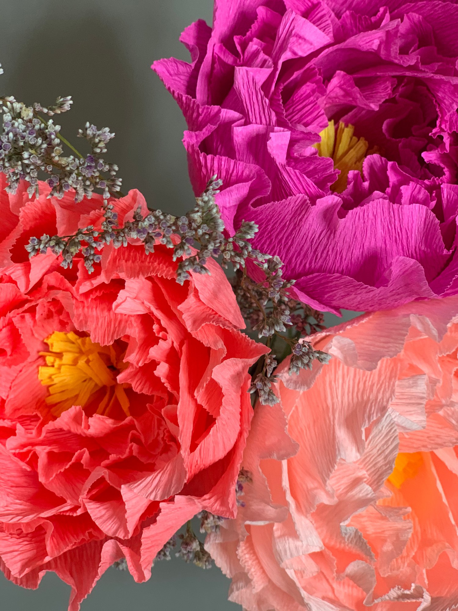 Image of British Flowers Week Peony Bouquet