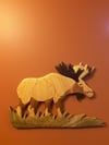 Moose