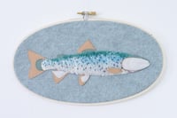 Bear Lake Cutthroat Trout