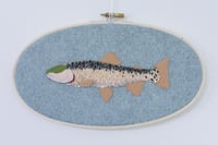 Alvord Cutthroat Trout
