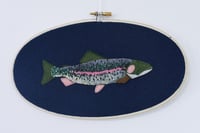 Rainbow Trout