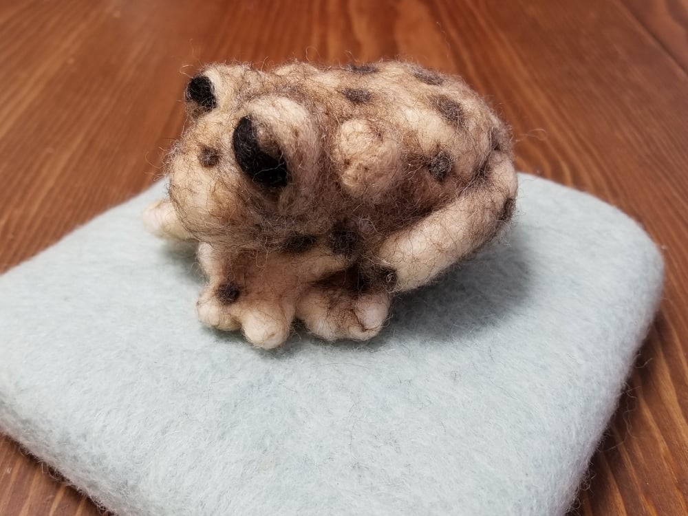 Toad