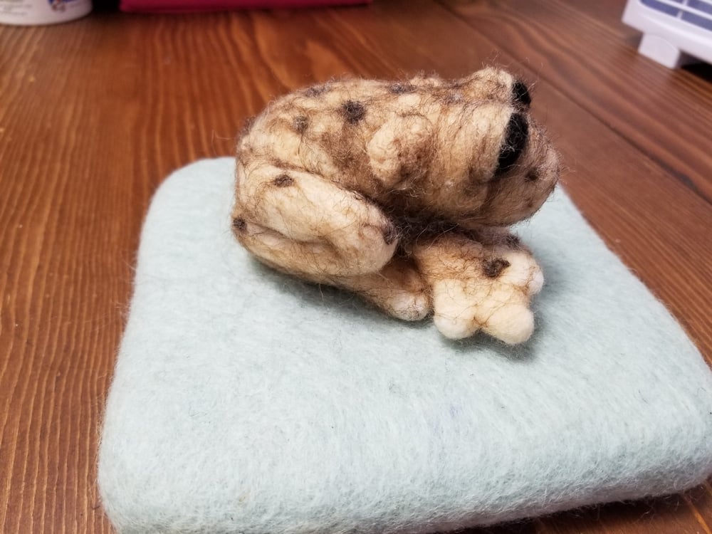 Toad