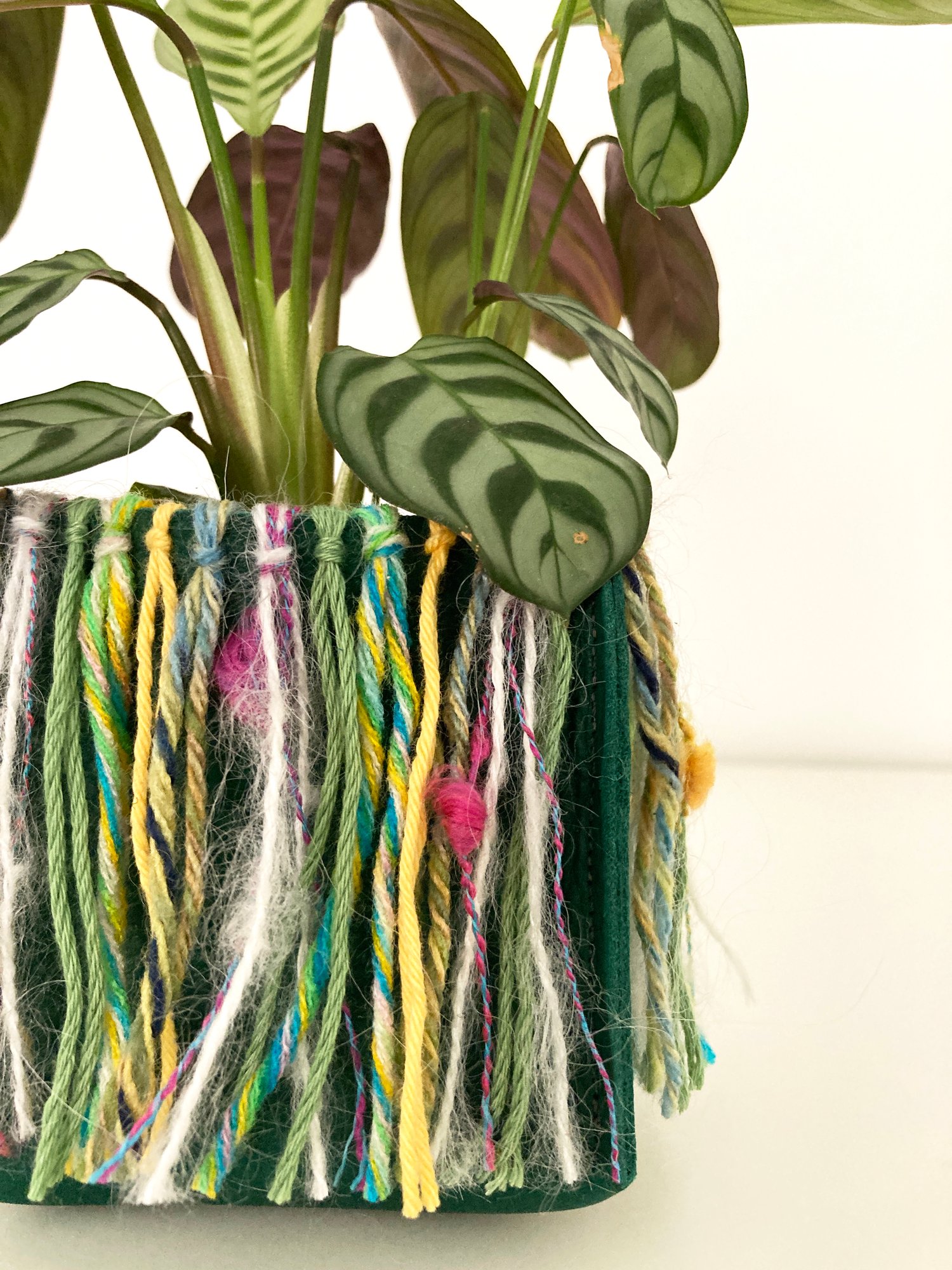 Image of Green Koola Hula