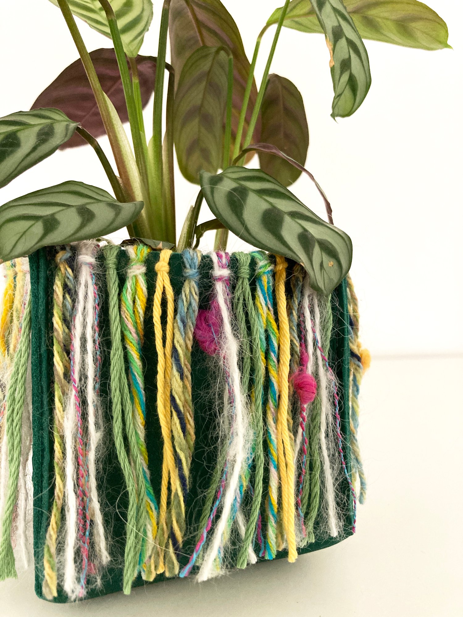 Image of Green Koola Hula