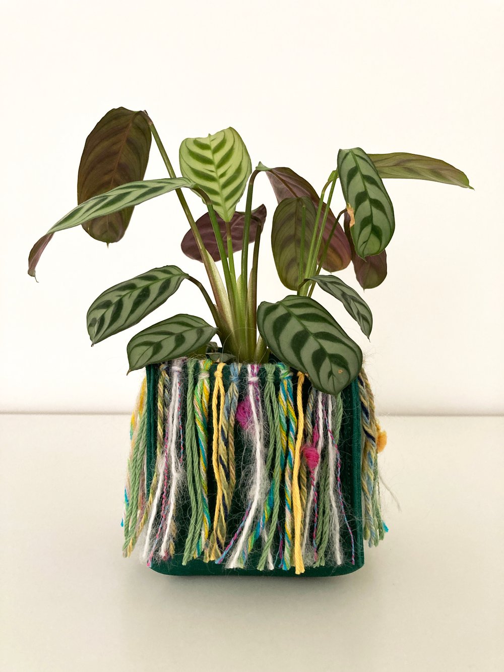 Image of Green Koola Hula