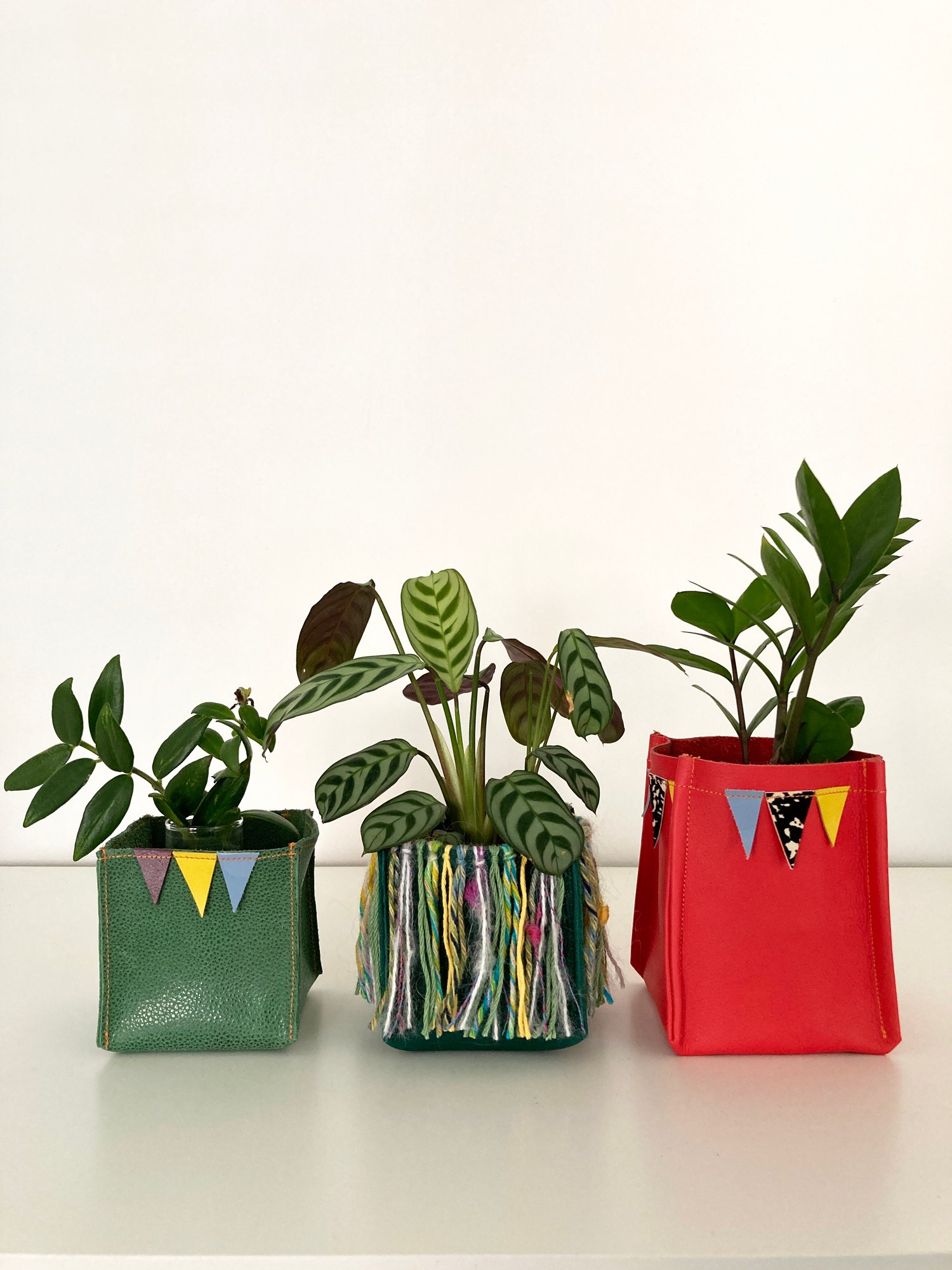 Image of Green Koola Hula