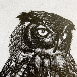 Image of OWL