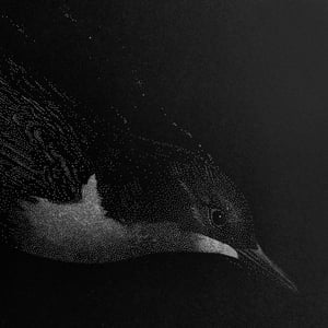 Image of DIPPER
