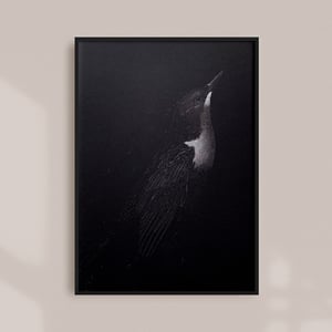 Image of DIPPER