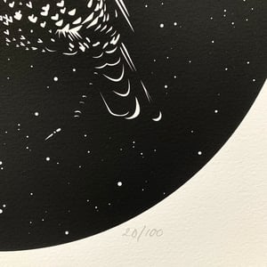 Image of MIDNIGHT STARLING 