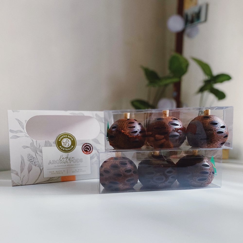 Image of 6 x Mini Banksia Pods Set