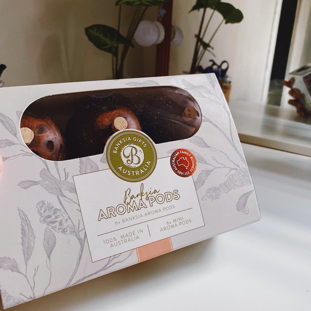 Image of 6 x Mini Banksia Pods Set