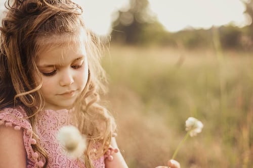 Image of Reserved for Heidi - Extended Family shoot