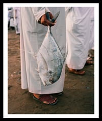 Image 1 of Fish Market. Muscat, Oman.