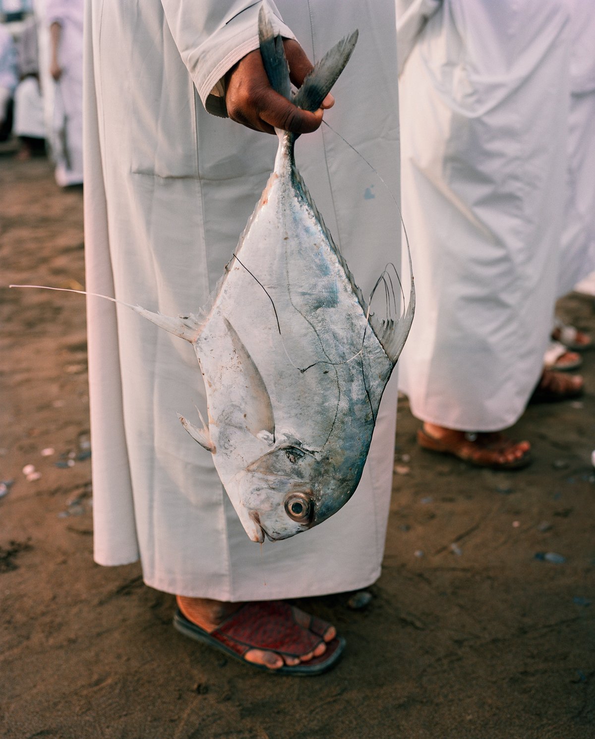Image of Fish Market. Muscat, Oman.