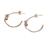 Julia Hoops