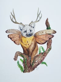 Image 2 of Marten with wings watercolor illustration, ORIGINAL ARTWORK 