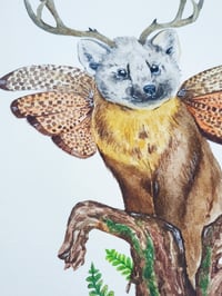 Image 3 of Marten with wings watercolor illustration, ORIGINAL ARTWORK 