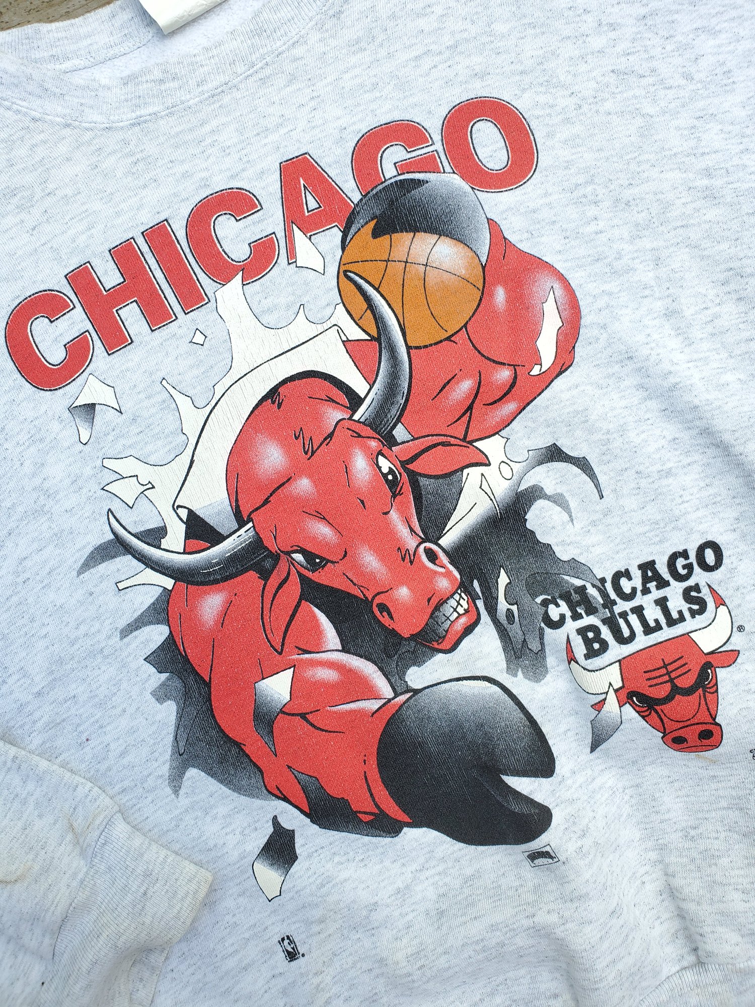 Image of CHICAGO BULLS By Nutmeg