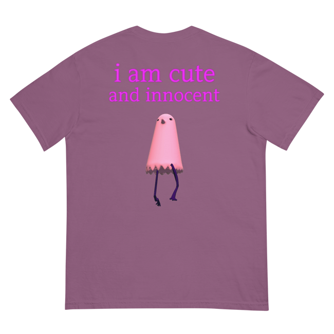 Sweetiebird shirt
