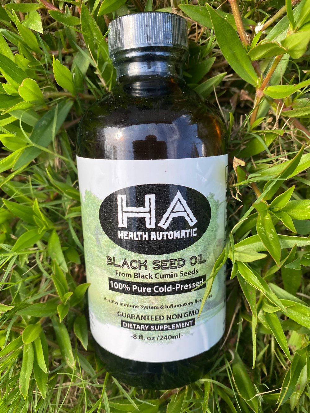 Black Seed Oil 8oz