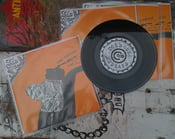 Image of Stay Thirsty 7"