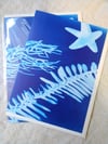 Blue Ocean Card