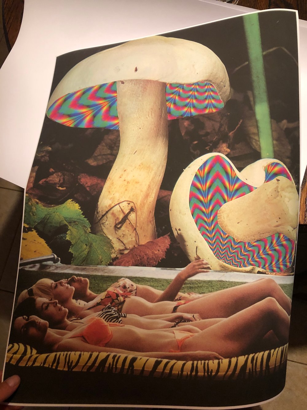 Afternoon shrooms  poster 