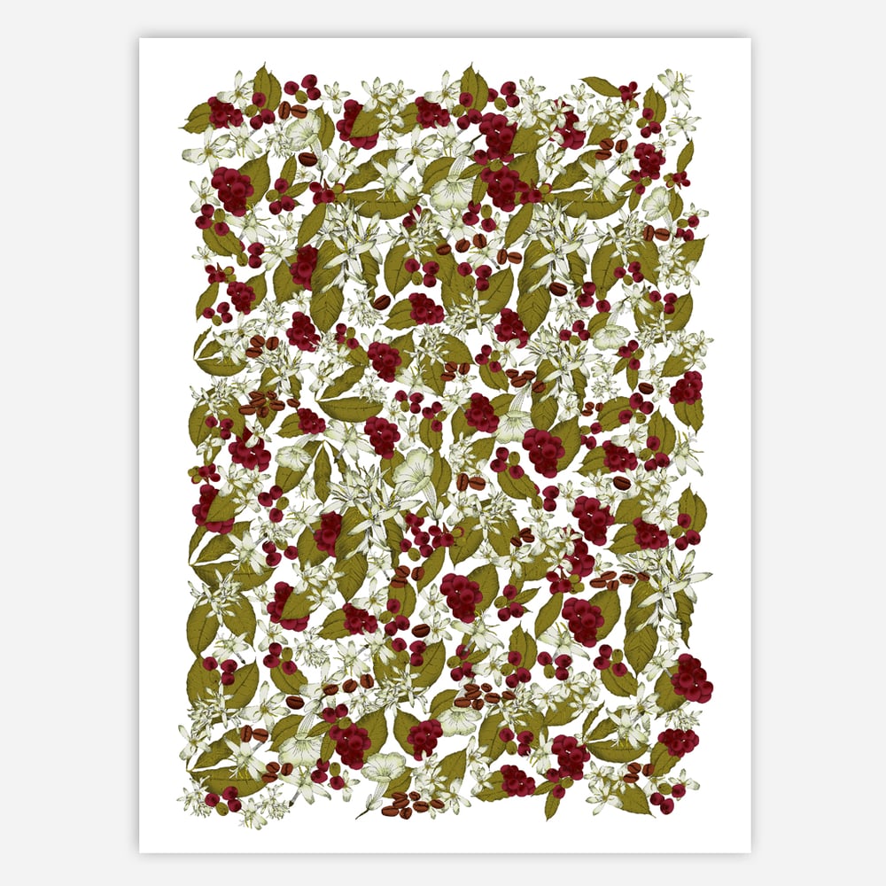 Image of COFFEE PLANT SURFACE PATTERN LICENSE