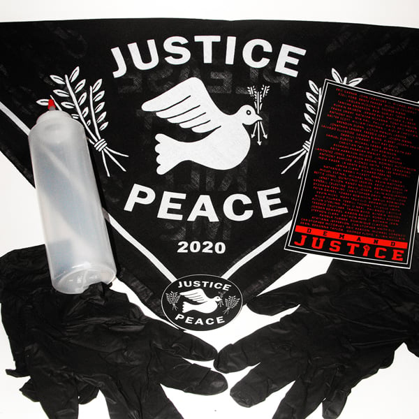 Image of $50.00 PROTEST PACK DONATION