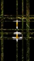 Homage; The Only True Wealth Is Life Image 5