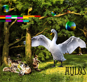 Image of Aulos - EP IC - SOLD OUT 
