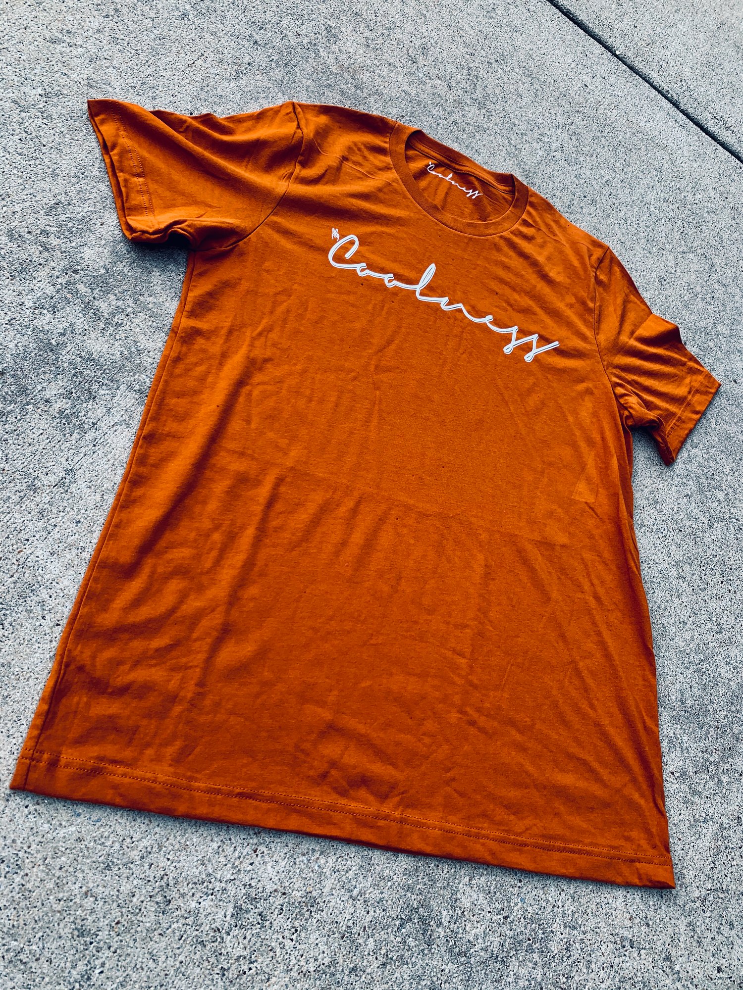 Image of Official Coolness T- Shirt - Autumn